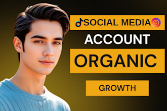manage grow and promote instagram post tiktok account with video ads organically