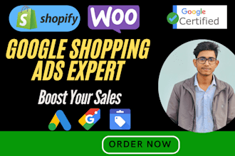 setup, manage google shopping ads and performance max campaign for shopify store