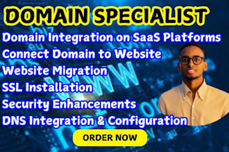 connect domain integration, link domain setup, domain pointing dns configuration