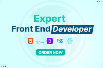 front end website development, mern stack developer