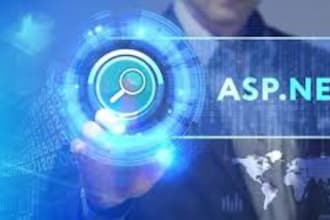 fix  asp dot net core, mvc,asp dot net issues with quality work
