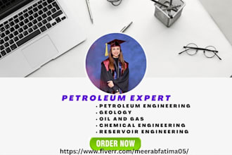 assist you in petroleum geology and reservoir simulation projects
