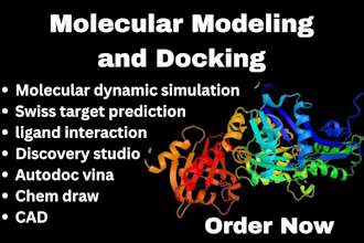 do molecular docking  bioinformatics and biorender