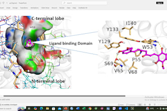 do molecular docking  bioinformatics and biorender