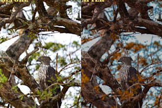 enhance image and color balance, retouch, edit image