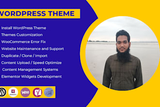 install wordpress theme, demo import, theme customization