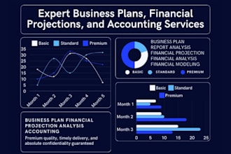do business plan financial projection analysis accounting