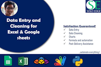 be your virtual assistant for excel data entry and cleaning