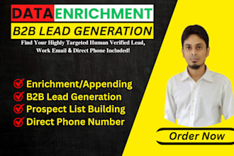 provide b2b lead generation, data enrichment, and find direct phone numbers