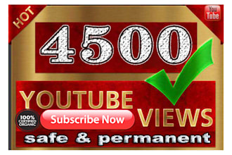 optimize your youtube video channel monetization