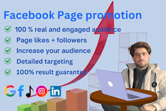 setup facebook targeting ads to grow fb page likes