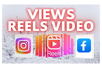 do social media reels views according to your desired target