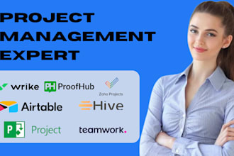 setup wrike, airtable, hive, teamwork, microsoft project, zoho projects proofhub