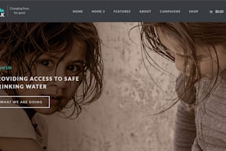 build nonprofit website, charity website, 501c3 website, ngo,wp one page website