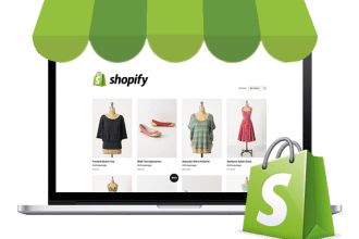 customize, fix and update shopify website