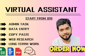 be your virtual assistant for data entry, data mining, copy paste, web research