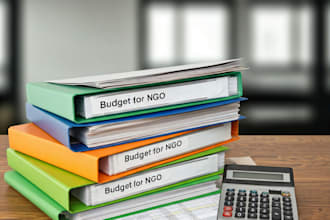 do budgets and financial reports for ingos and other organization