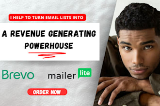 do high converting brevo sendiblue mailerlite email campaign email newsletter