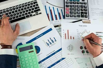 write report of financial analysis, finance, accounting tasks and assignment