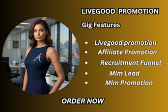 do USA solo ads campaign, affiliate link promotion, MLM leads boost conversion