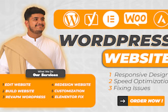 fix optimize rebuild or revamp wordpress elementor website