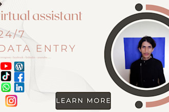 be your virtual assistant for data entry and for admin tasks