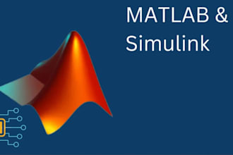 do your matlab programming, simulink, image