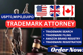 do expert trademark search, registration and filing uspto wipo euipo