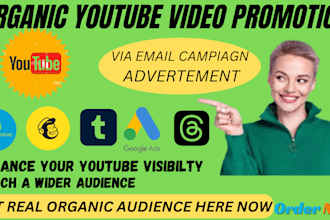 setup and manage your youtube video ads campaign advertisement