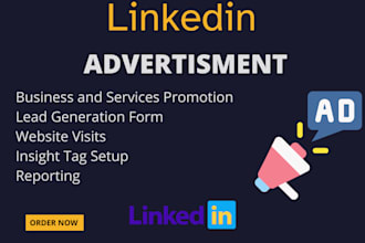 setup and manage your linkedin advertisment