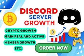 professional discord server member growth