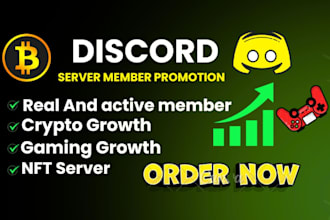 professional discord server member growth