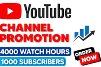 do youtube video promotion channel monetization video SEO channel shoutout
