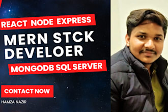 do mern stack website as mern stack developer node react mongodb express