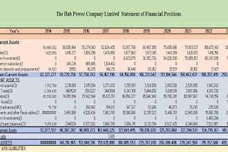 prepare a professional business plan for startups, business plan, financial plan