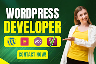 design mobile responsive wordpress business website development