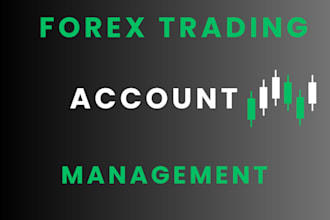 manage account on mt4 or mt5 account management amazing daily profit making