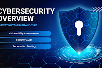 do penetration testing and vulnerability assessment for your domains
