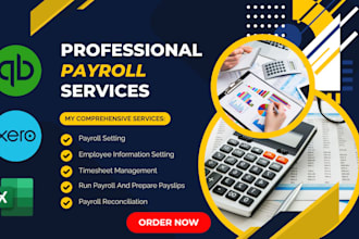 provide payroll and bookkeeping using quickbooks and xero
