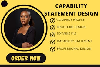 design a professional government capability statement and capability statement