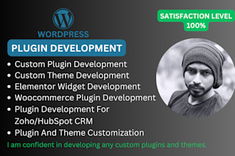 develop wordpress custom plugins and themes