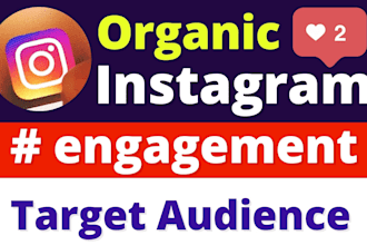grow your instagram, niche engagement, audience targeting, instagram management