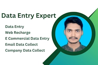 do data entry expert, copy paste, web research, cold email