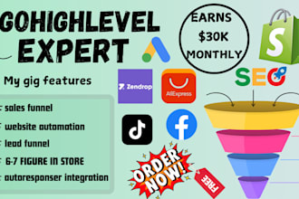 design a marketing 6 to 7 figure shopify dropshipping
