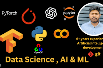 do data science, ai, ml projects