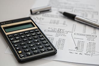 support in financial and payroll accounting