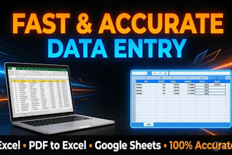 do excel data entry work with accuracy