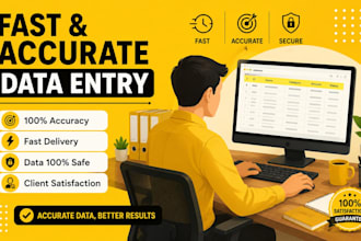 do excel data entry data formatting with accuracy