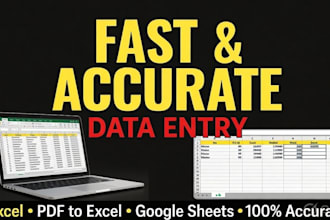 do fast and accurate data entry services