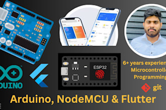 do arduino, esp32, nodemcu, mobile, web app programming
